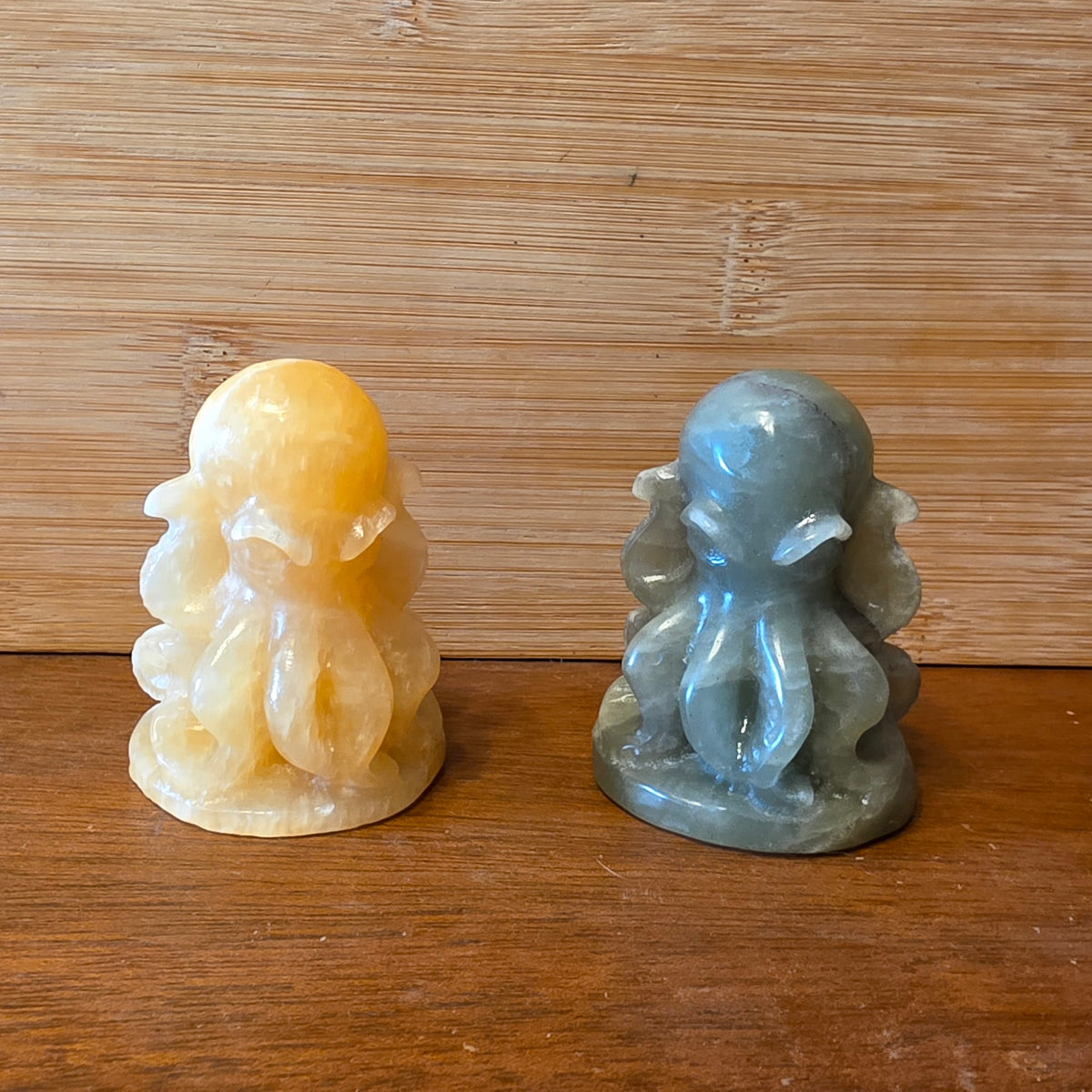Octopus