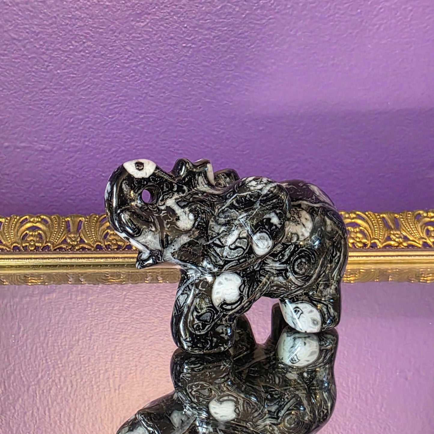 Thousand Eye Shell Elephant