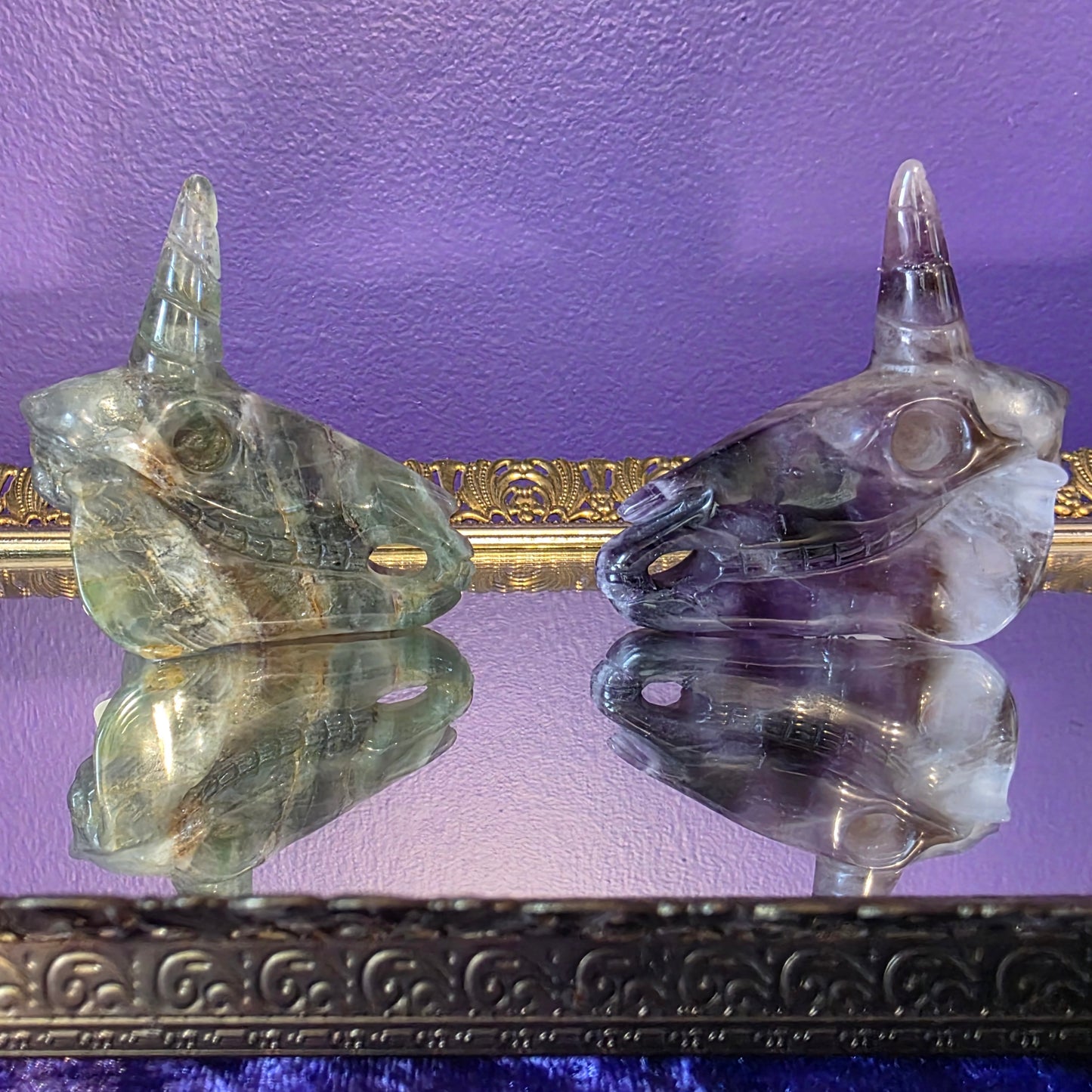 Unicorn skulls