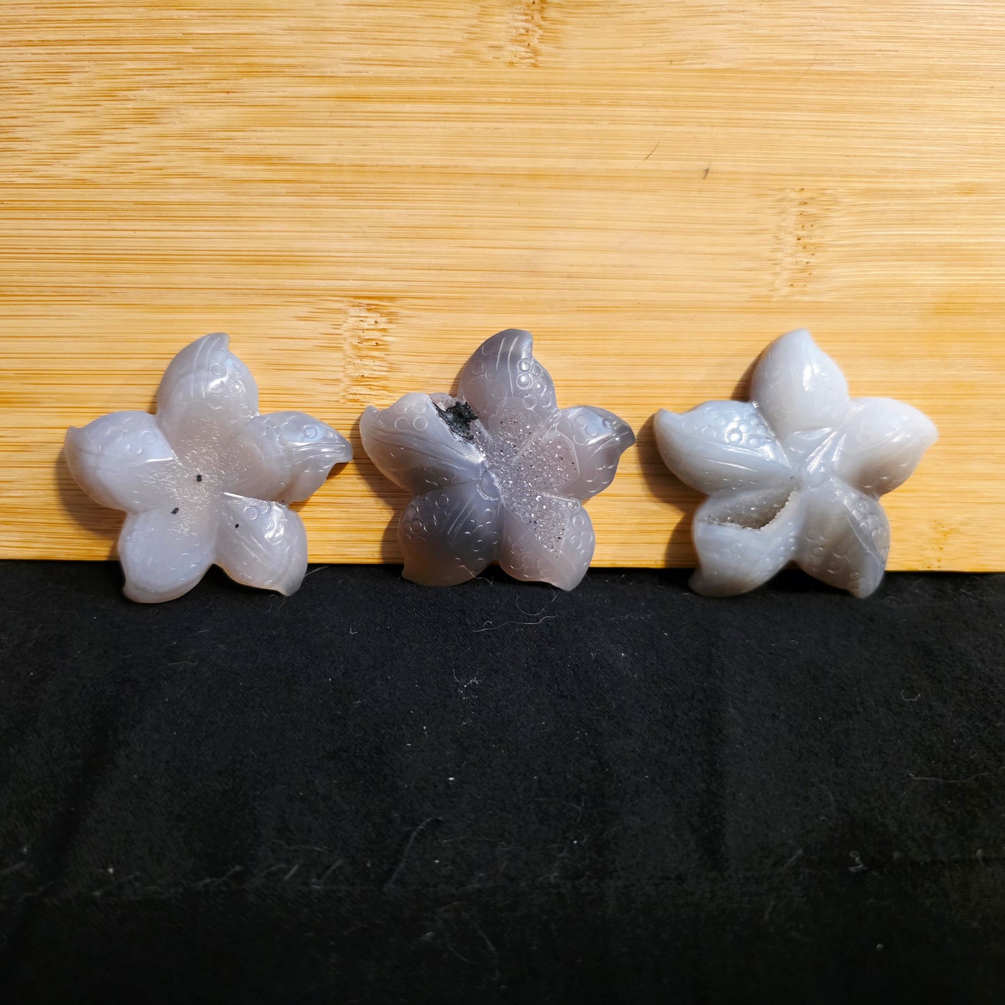 Druzy Agate Starfish – Renewal & Ocean Energy