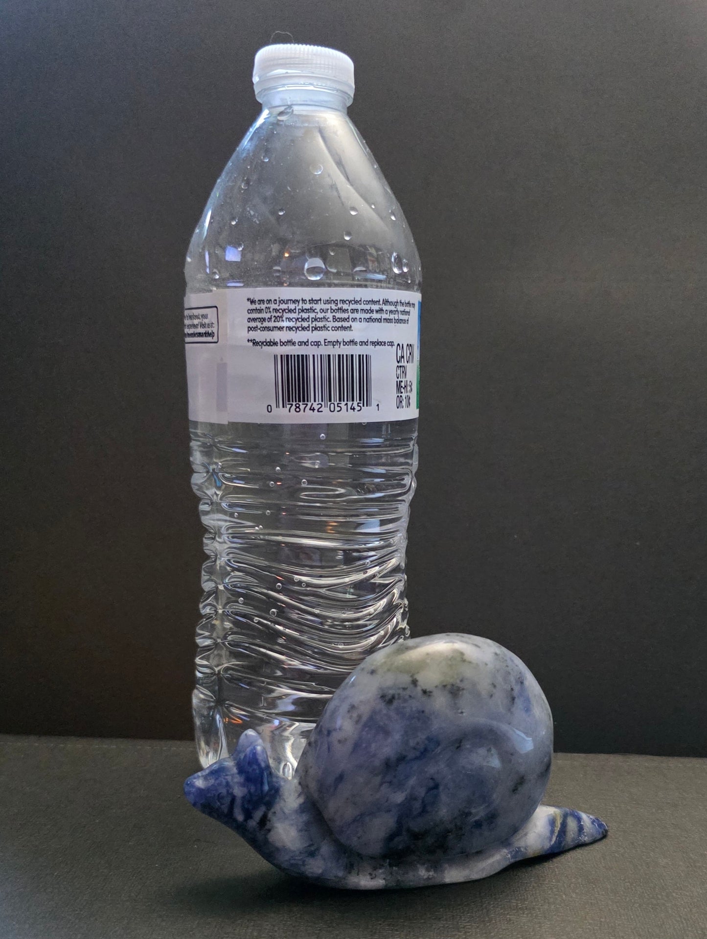 Dumortierite snail-Calm Mind & Confidence