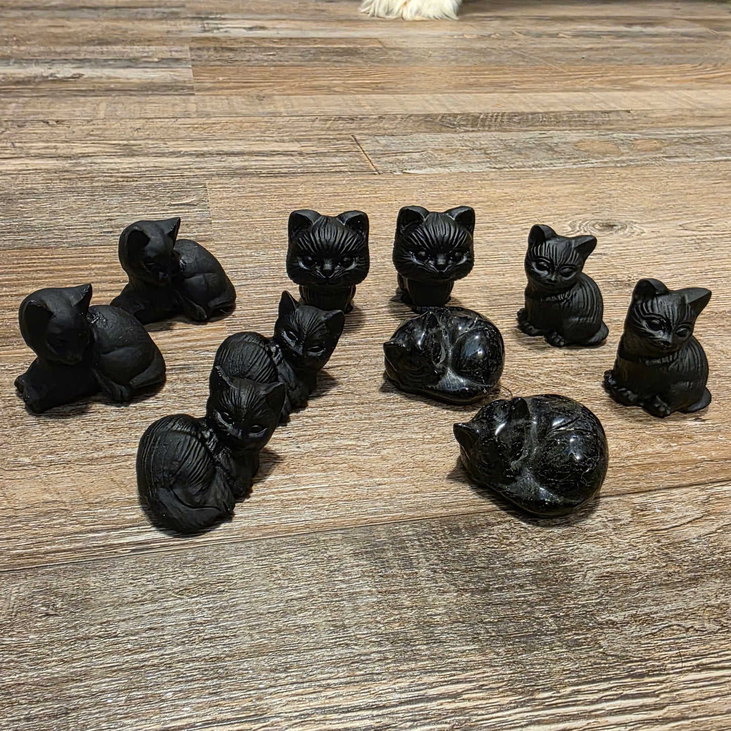 Black Tourmaline Cats