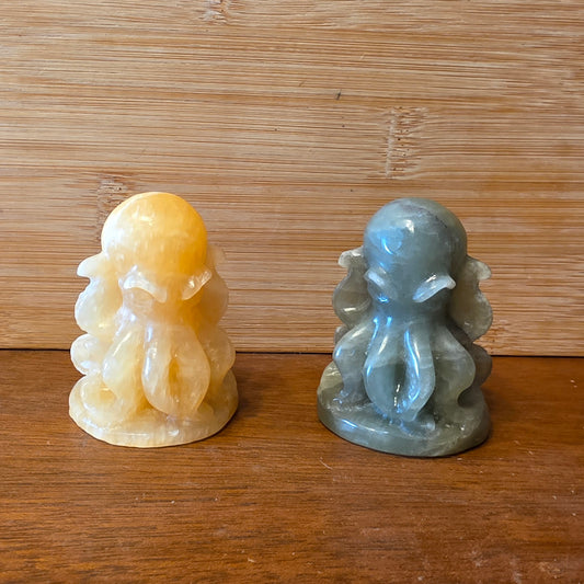Octopus