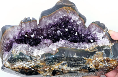 Amethyst Toad – Protection, Wisdom & Abundance