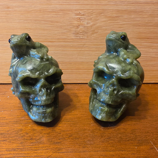 Frog on skull
