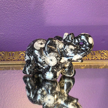 Thousand Eye Shell Elephant – Protection, Awareness & Ocean Energy