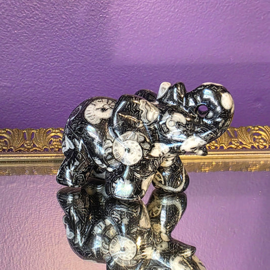Thousand Eye Shell Elephant