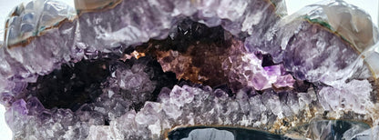 Amethyst Toad – Protection, Wisdom & Abundance