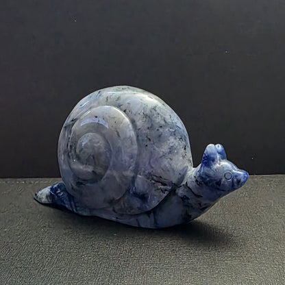 Dumortierite snail-Calm Mind & Confidence