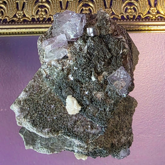 Yttrium Fluorite on mica specimen