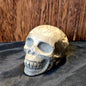 Pyrite Skull- Prosperity & Protection Stone