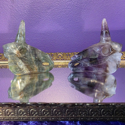 Unicorn skulls