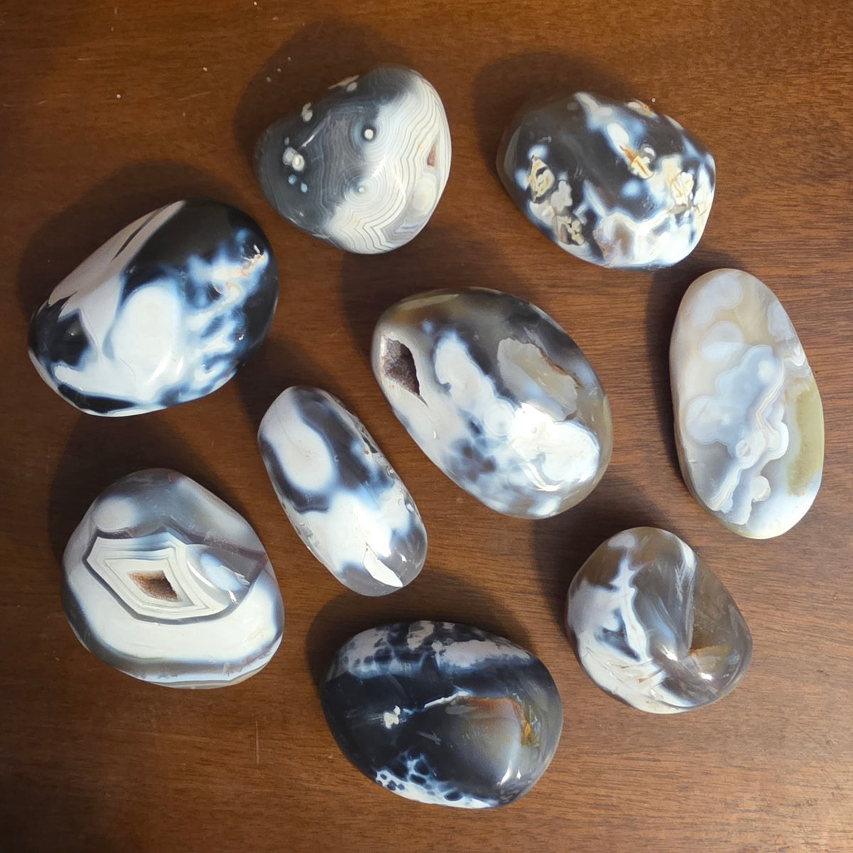 Orca Agate freeforms