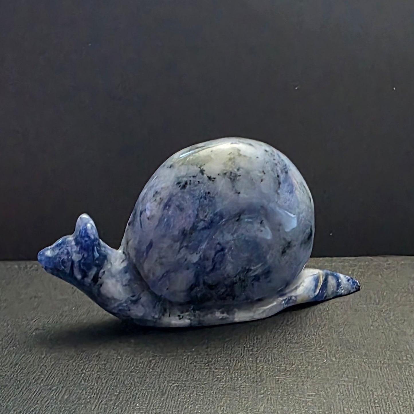 Dumortierite snail-Calm Mind & Confidence
