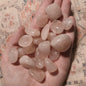 Rose Quartz tumbles– Love, Compassion & Emotional Healing