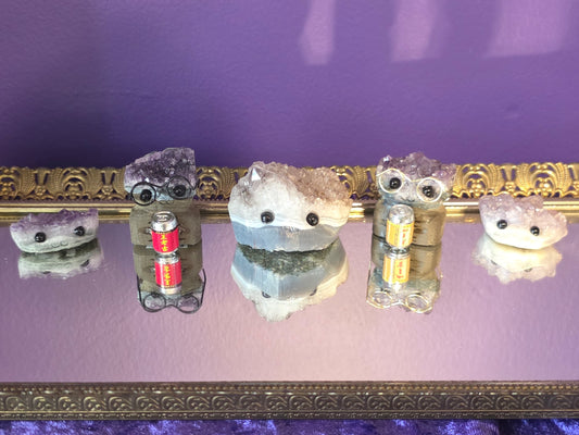 Hedgehogs