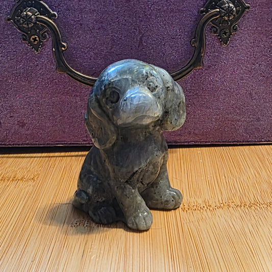 Labradorite dog